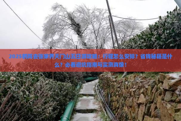 鹤岗去张家界天门山五日游