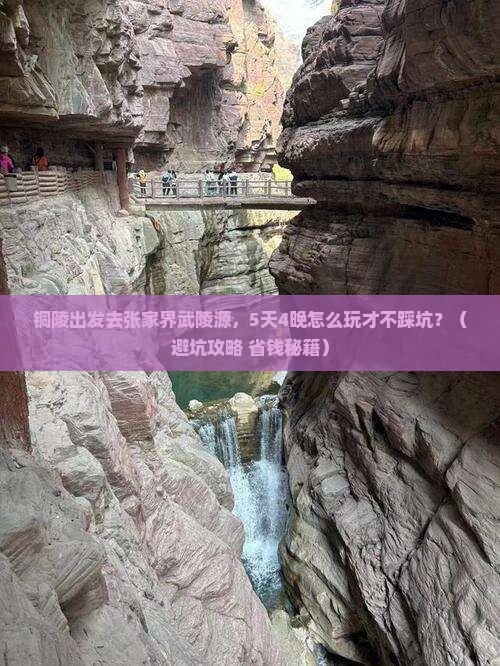 铜陵到张家界武陵源旅行社