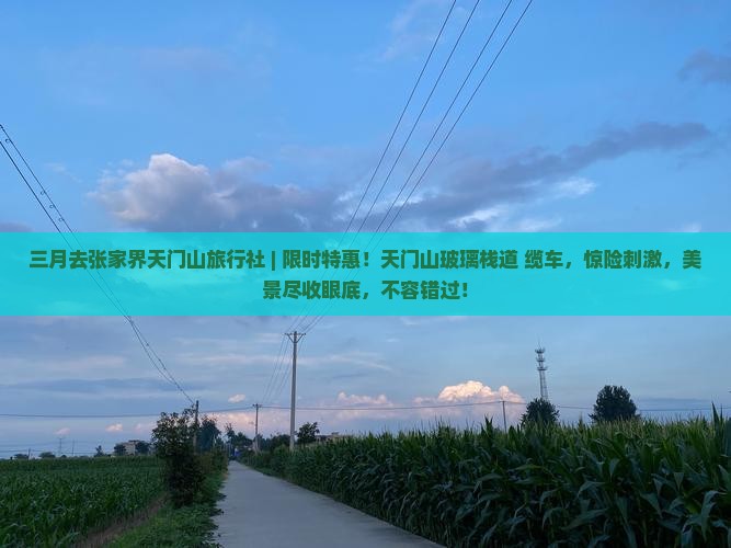 三月去张家界天门山旅行社