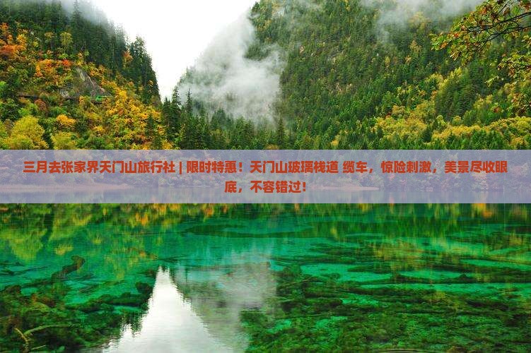 三月去张家界天门山旅行社