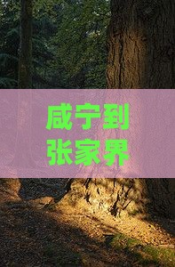 咸宁到张家界七星山五日游