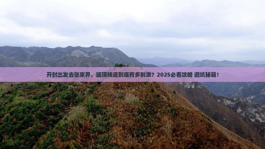 开封到张家界玻璃栈道旅游
