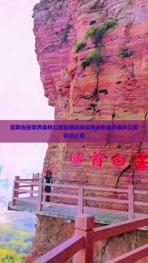 昆明去张家界森林公园旅游
