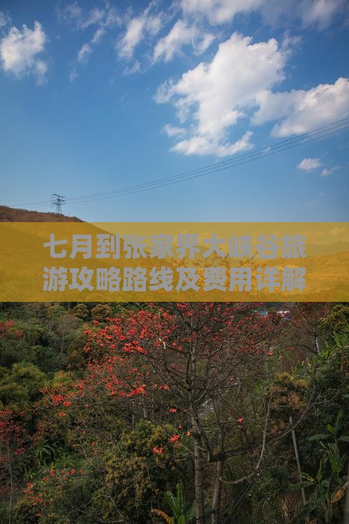 七月到张家界大峡谷旅游