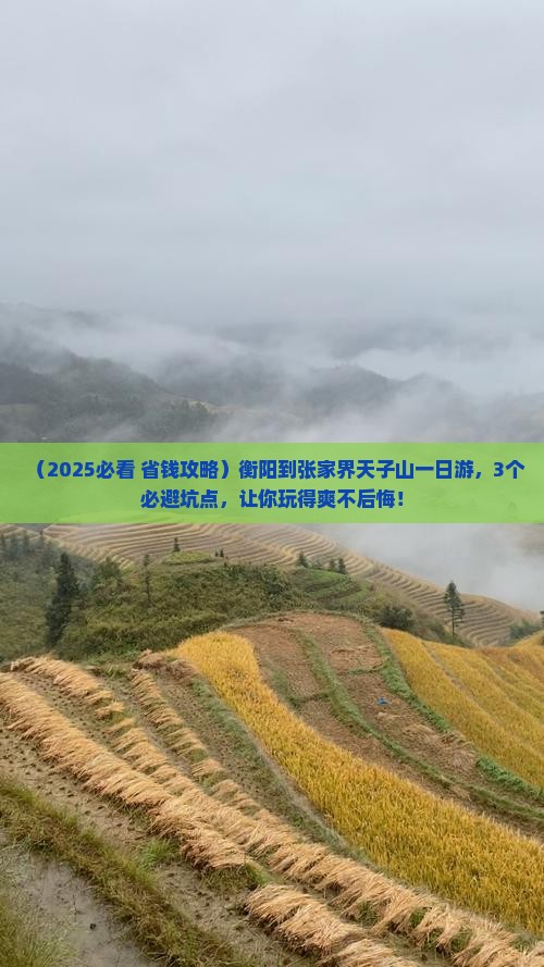 衡阳到张家界天子山一日