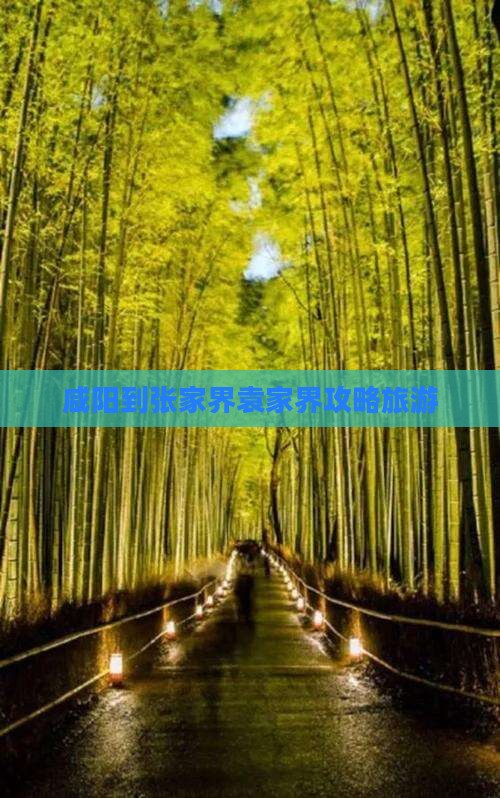 咸阳到张家界袁家界大型旅游团