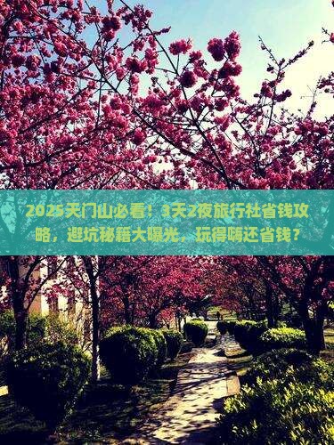 天门去张家界天门山旅行社