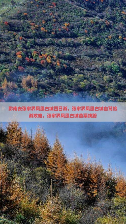 黔南去张家界凤凰古城四日游
