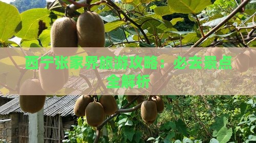 西宁去张家界团体旅游