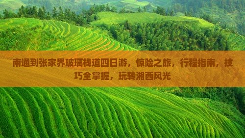 南通到张家界玻璃栈道四日游