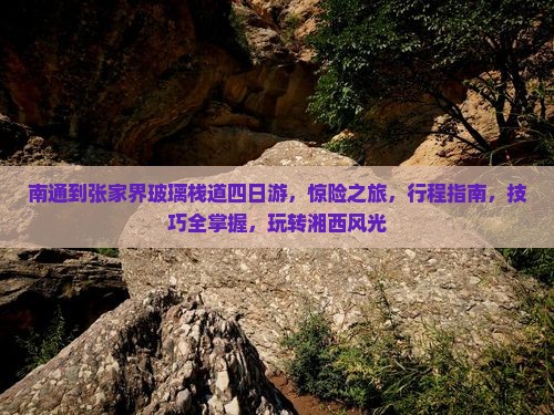 南通到张家界玻璃栈道四日游