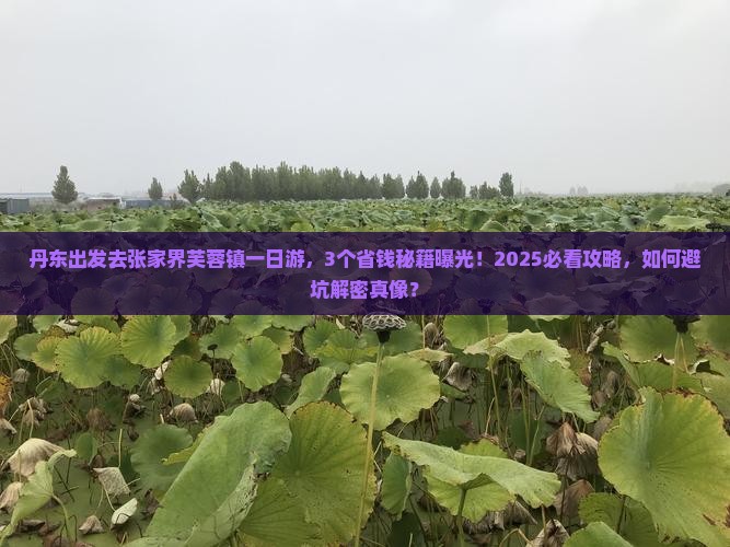 丹东去张家界芙蓉镇一日
