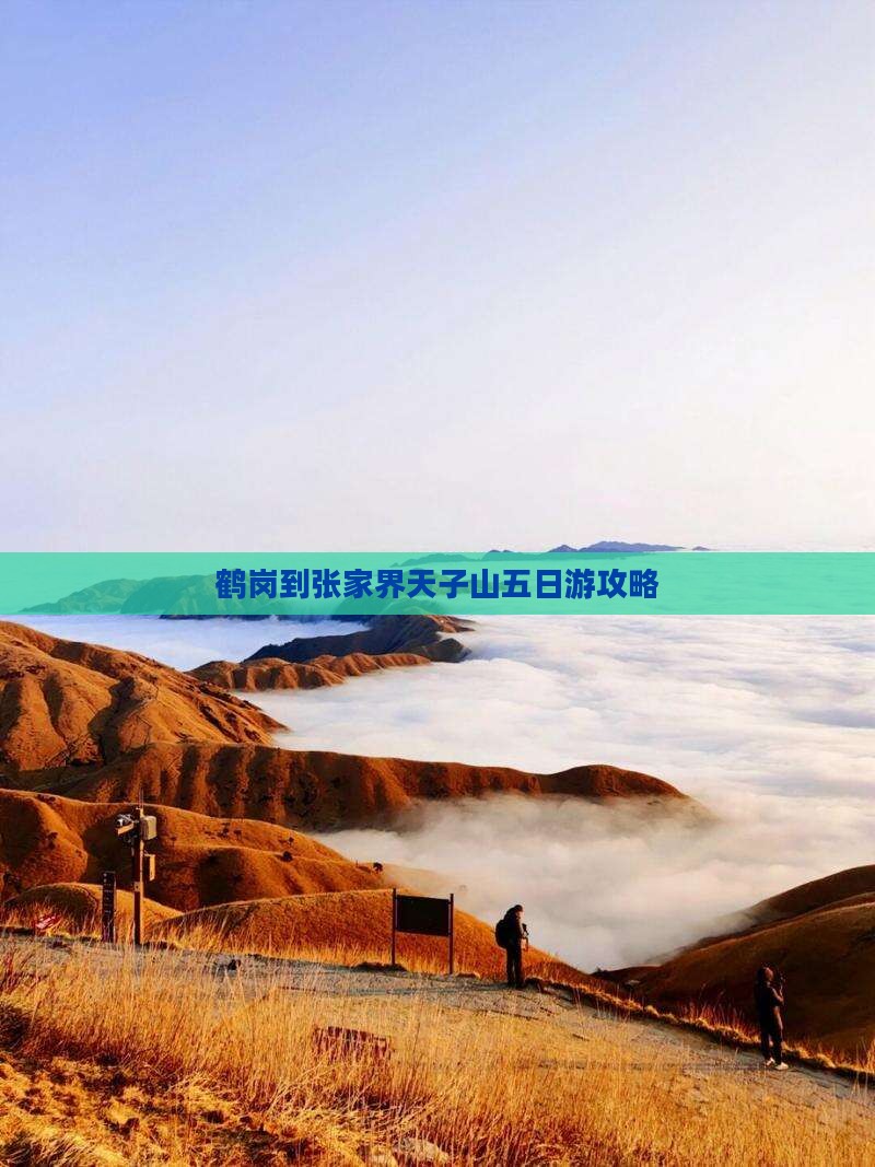 鹤岗到张家界天子山五日游