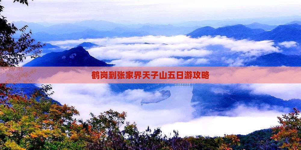 鹤岗到张家界天子山五日游
