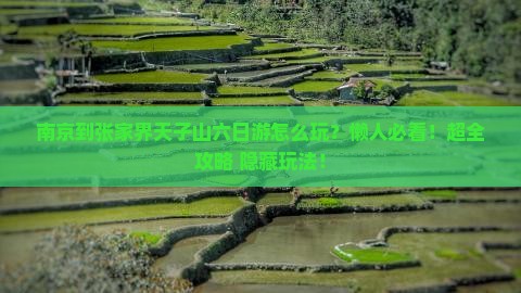 南京到张家界天子山六日游
