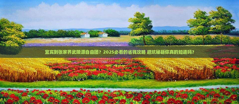 宜宾到张家界武陵源自由团