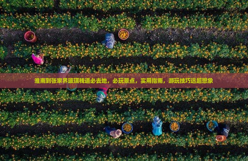 淮南到张家界玻璃栈道必去地