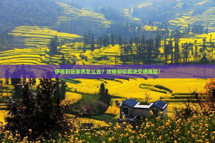 伊春到张家界攻略
