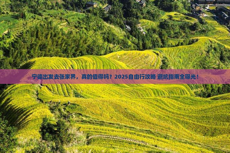 宁德到张家界自由行