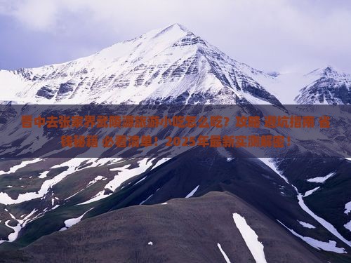晋中去张家界武陵源旅游小吃