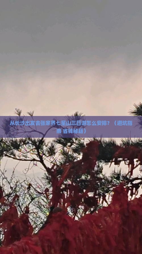 孝感到张家界七星山三日游