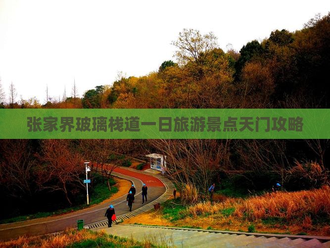 秋天去张家界玻璃栈道一日