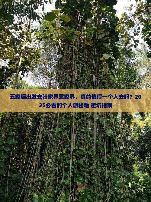 五家渠去张家界袁家界个人游 五家渠去张家界袁家界个人游