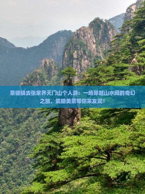 景德镇去张家界天门山个人游