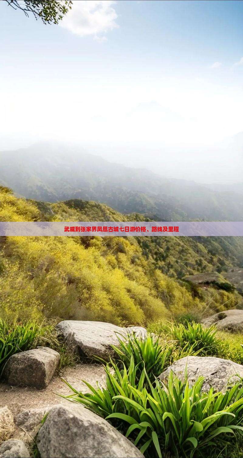 武威到张家界凤凰古城七日游