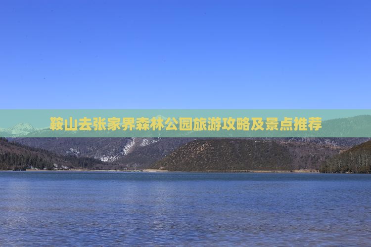 鞍山去张家界森林公园个人游