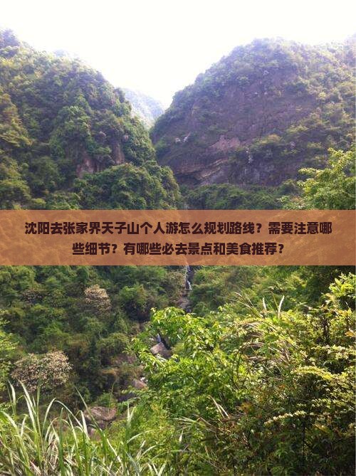 沈阳去张家界天子山个人游
