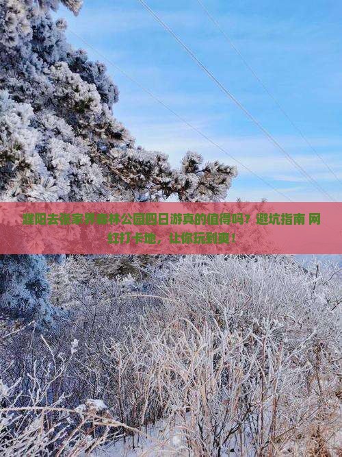 濮阳去张家界森林公园四日游