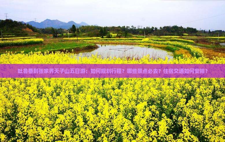 吐鲁番到张家界天子山五日游