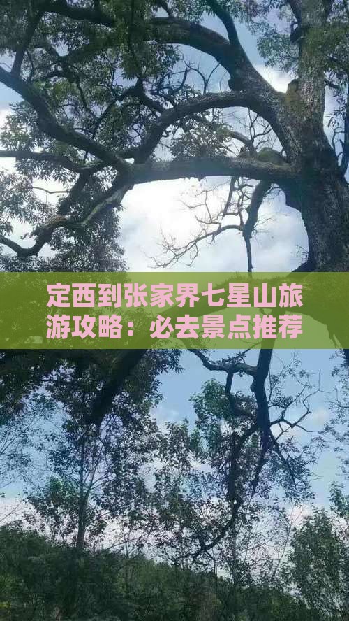定西到张家界七星山个人游