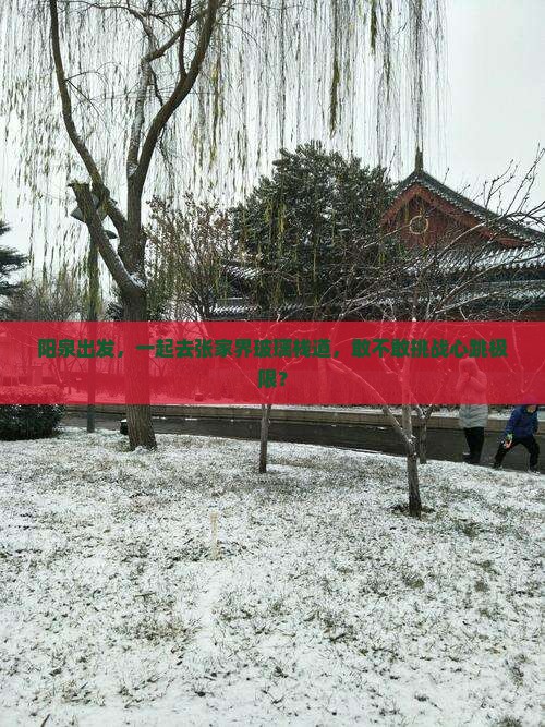 阳泉去张家界玻璃栈道团体旅游