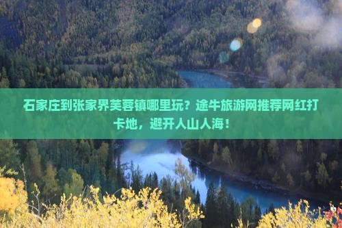 石家庄到张家界芙蓉镇哪里玩