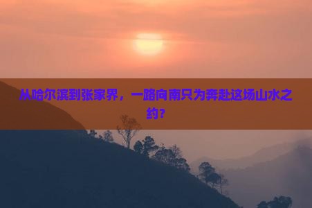 哈尔滨到张家界门票