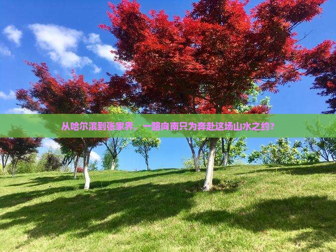 哈尔滨到张家界门票