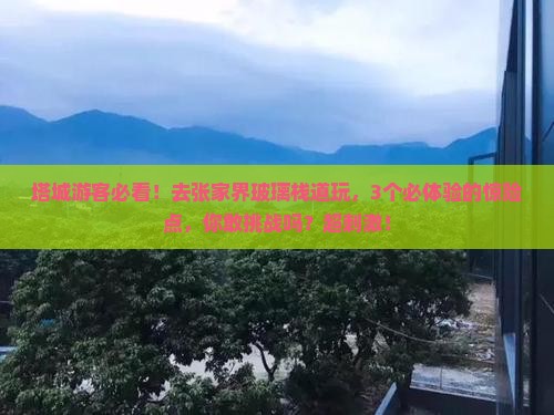 塔城去张家界玻璃栈道旅游