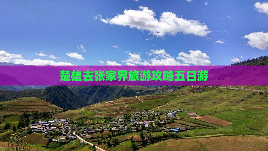 楚雄去张家界森林公园五日游