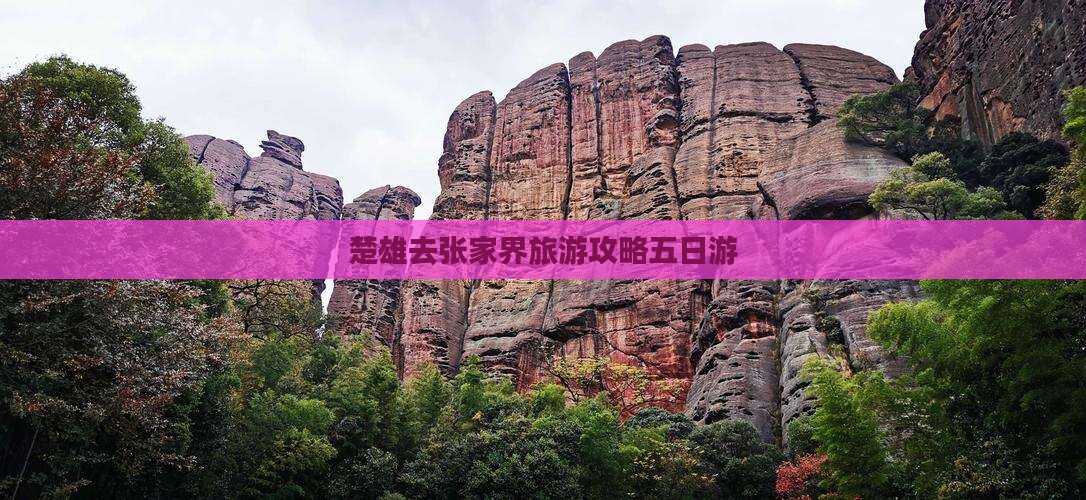 楚雄去张家界森林公园五日游
