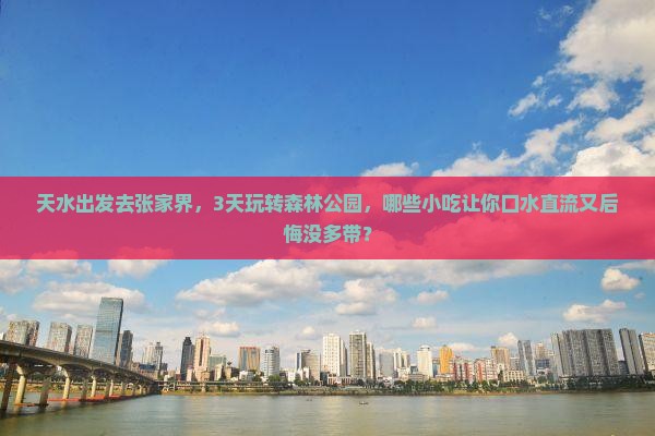 天水到张家界森林公园旅游小吃