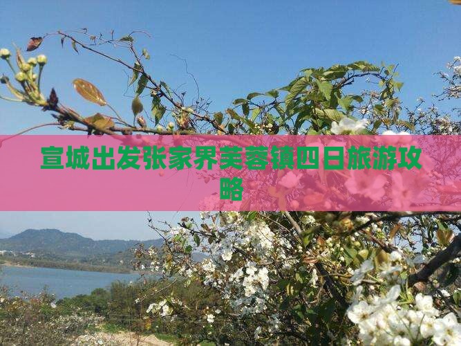 宣城去张家界芙蓉镇四日游 宣城去张家界芙蓉镇四日游