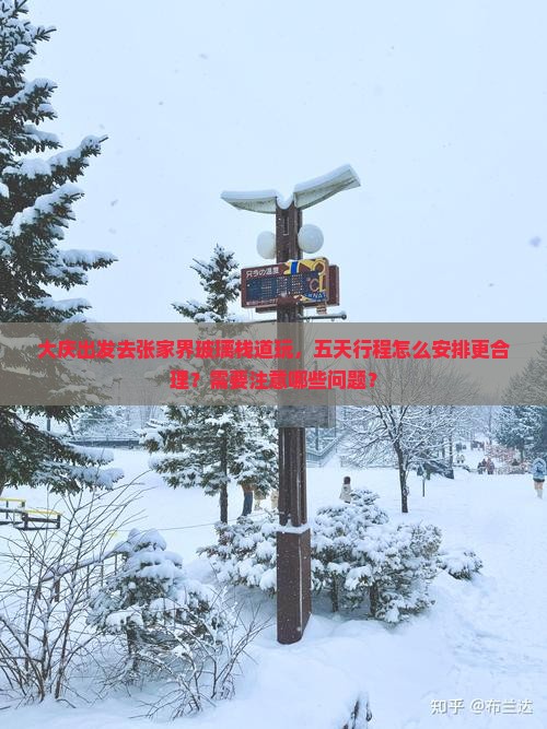 大庆到张家界玻璃栈道五日游