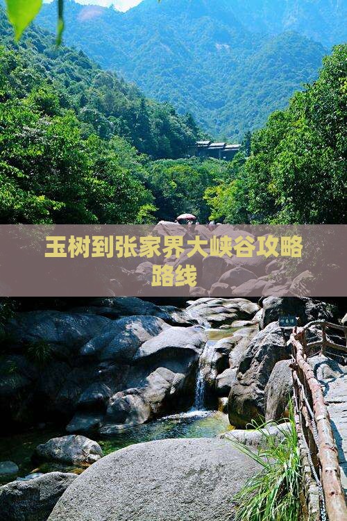 玉树到张家界大峡谷攻略