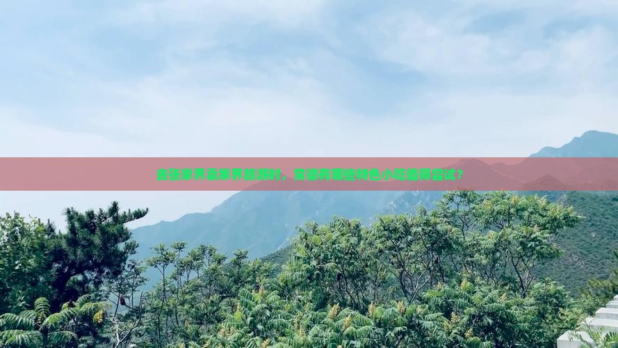 常德去张家界袁家界旅游小吃