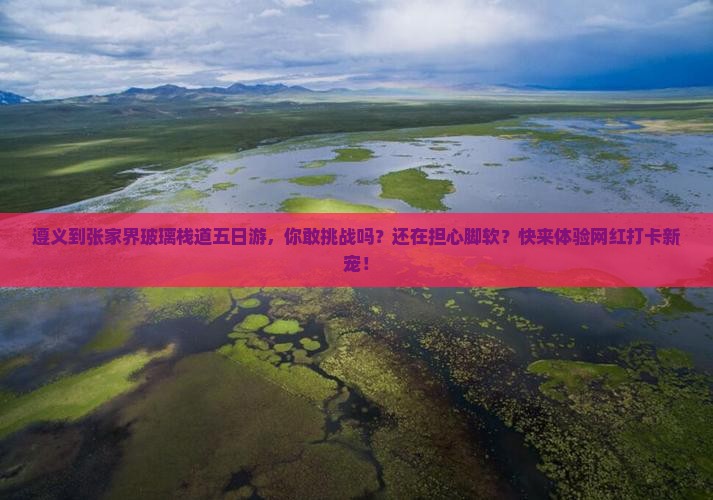 遵义到张家界玻璃栈道五日游