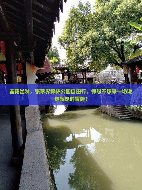 益阳去张家界森林公园自由行