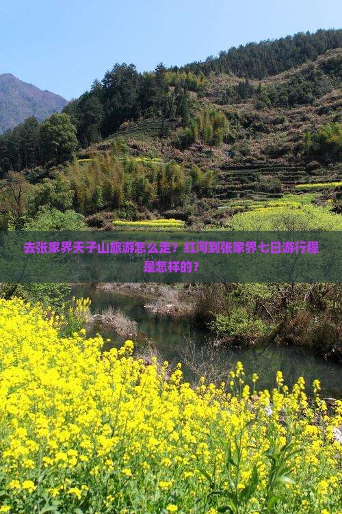 红河去张家界天子山七日游