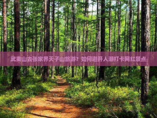 武夷山去张家界天子山旅游